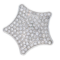 Magnetbrosche für Schal Taschen Kleidung Silberfarben Strass Stern Oval Modell 3
