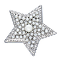 Magnet Brosche für Schal Taschen Kleidung Strass Steine  silberfarben Stern Floral Perle Modell 4